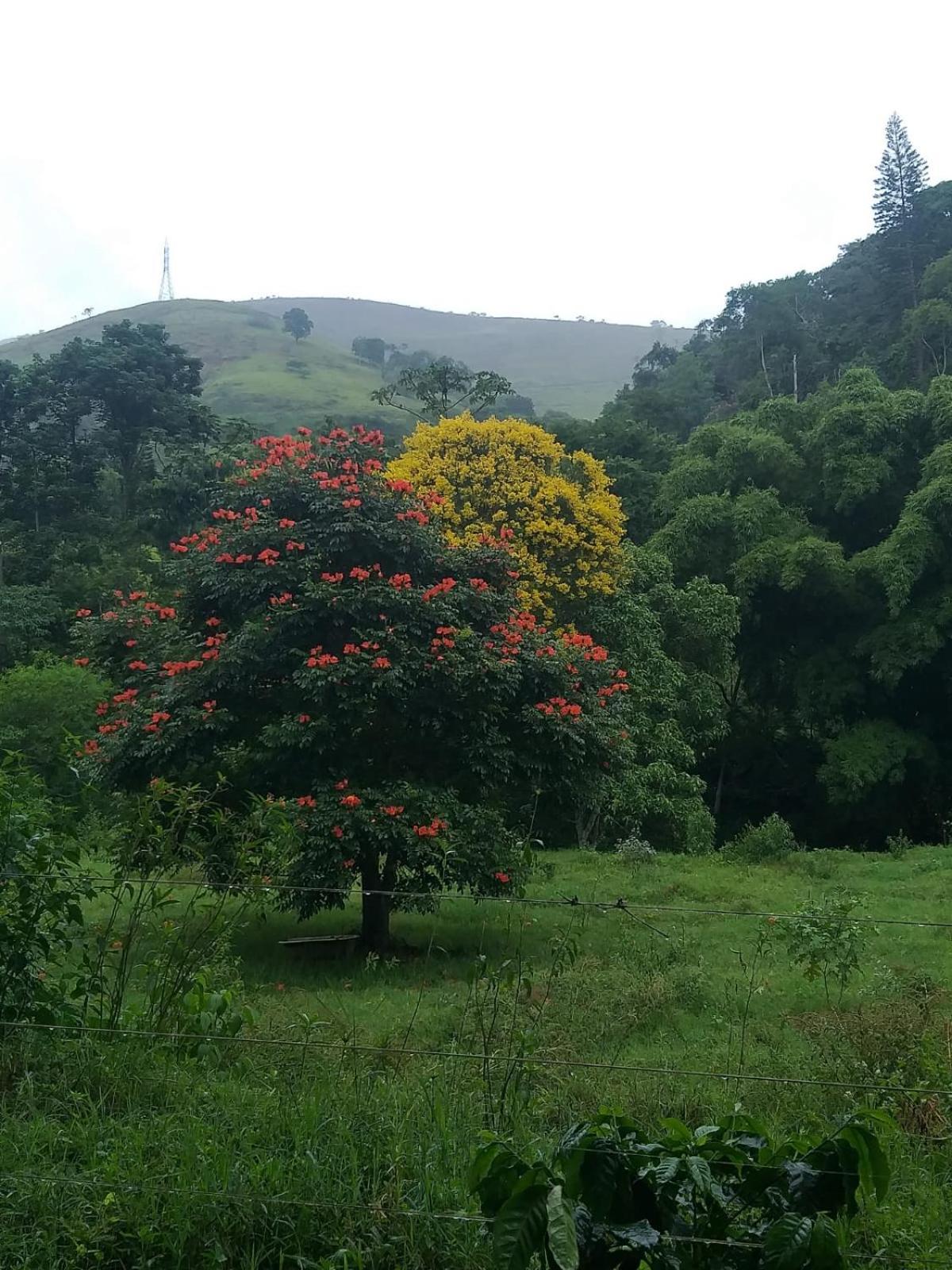 Villa Fazenda Piloes Petrópolis Exterior foto